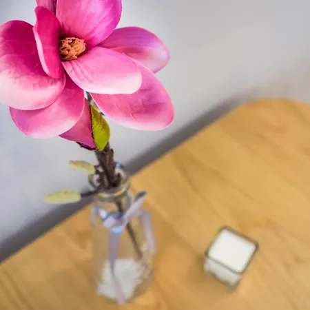 Elisabeth 50 公寓 布达佩斯