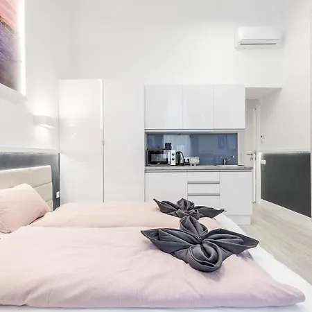 公寓 Elisabeth 50 布达佩斯