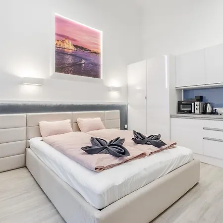 公寓 Elisabeth 50 布达佩斯